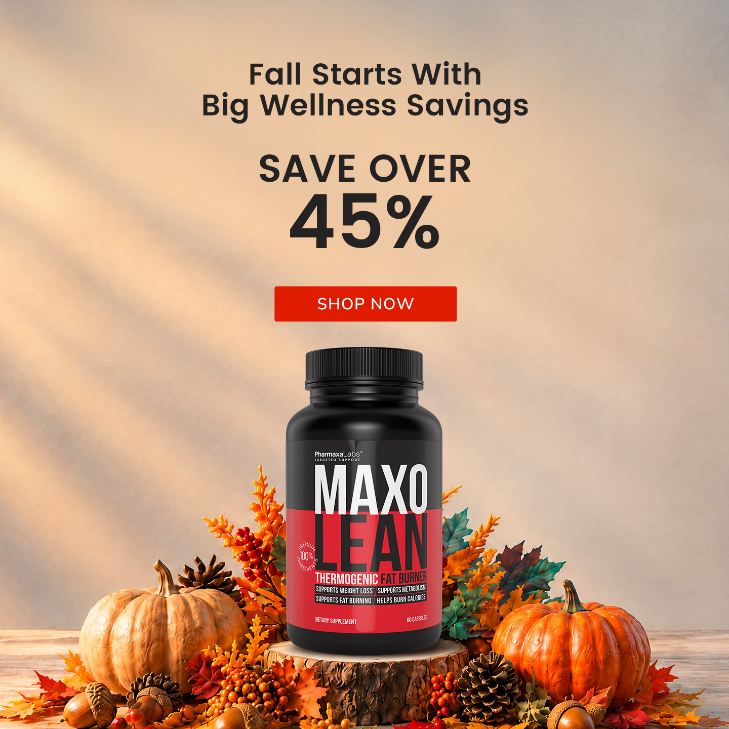 Maxolean Fall Sale Sale